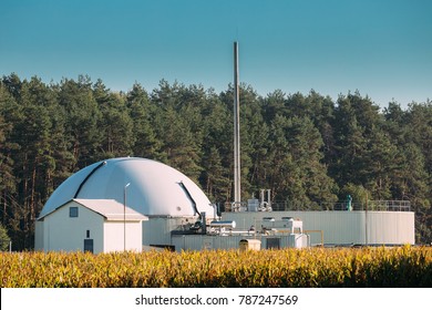 Biogas Plant Or Bioreactor For Fermentation Of Chicken Manure.