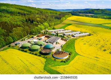 Biogas Plant And Farm In Blooming Rapeseed Fields. Renewable Energy From Biomass. Aerial View To Modern Agriculture In Czech Republic And European Union. 