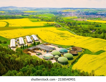 Biogas Plant And Farm In Blooming Rapeseed Fields. Renewable Energy From Biomass. Aerial View To Modern Agriculture In Czech Republic And European Union. 