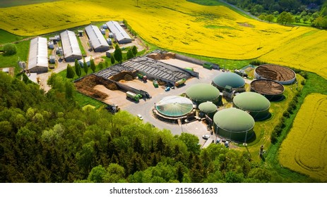 Biogas plant and farm in blooming rapeseed fields. Renewable energy from biomass. Aerial view to modern agriculture in Czech Republic and European Union. 