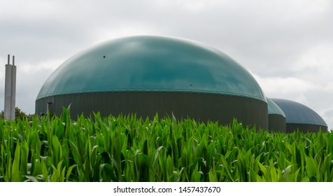 Biogas plant for generating electricity and generating energy during 