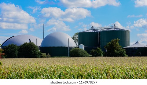 Biogas plant for power generation and energy	