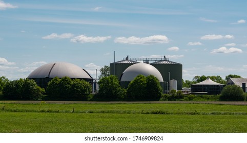 Biogas plant for power generation and energy	