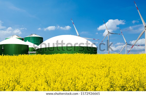 Biogas\
plant stands behind a rape field with blue\
sky