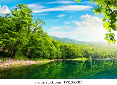 Biogradska Gora High Res Stock Images Shutterstock