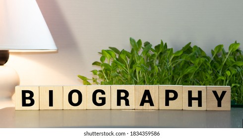 Biography Word Written On Wood Block, Life Concept