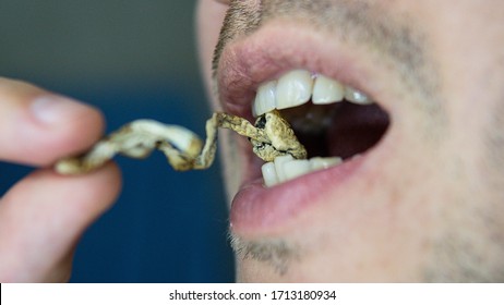 Biohacking and brain development with magic mushrooms close-up