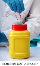 Biohazard Waste Material Container Where Material Used In The Laboratory Is Deposited. Lab Technician Depositing Equipment From A Blood Draw In A Biohazard Waste Container