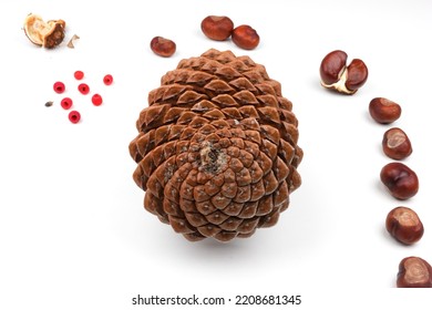 Biological Example Of Fibonacci Spirals At A Pine Cone