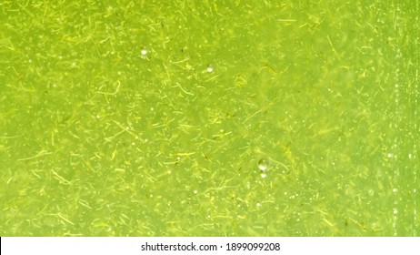 Biological macro background in water particles with large zoom. Ultra macro bio dynamic herbal, Light green fluorescent, herbal color. Ecological compatibility. Design environmentalism