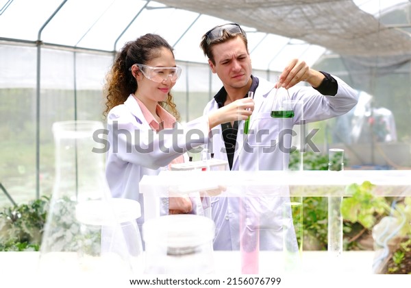 biological\
scientist American male researcher, Research Plant Varieties.\
Organic farming concept. working at bright greenhouse. Biologist or\
botanist recording information about\
plants..