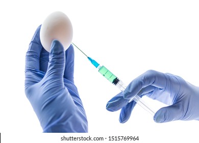 3,572 Chicken Vaccine Images, Stock Photos & Vectors | Shutterstock