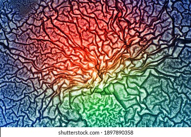 biological texture microscopic. Brain neural networks. Electron microscope