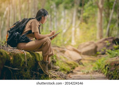 Biologist Or Botanist Recording Information About Small Tropical Plants In Forest. The Concept Of Hiking To Study And Research Botanical Gardens By Searching For Information.