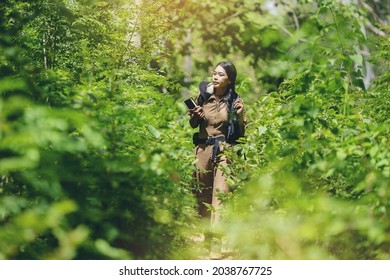 Biologist or botanist recording information about tropical plants in forest. The concept of hiking to study and research botanical gardens by searching for information.