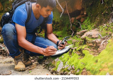 Biologist Or Botanist Recording Information About Small Tropical Plants In Forest. The Concept Of Hiking To Study And Research Botanical Gardens By Searching For Information.