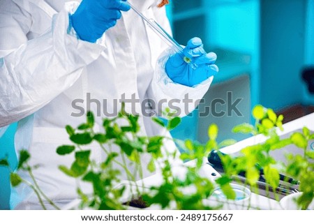 Biologist doing experiments with plants