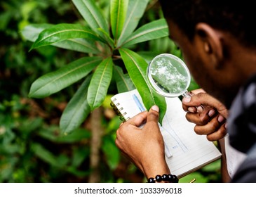 Biologist In A Forest