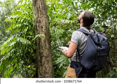 Biologist In A Forest