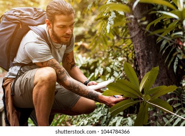 Biologist In A Forest