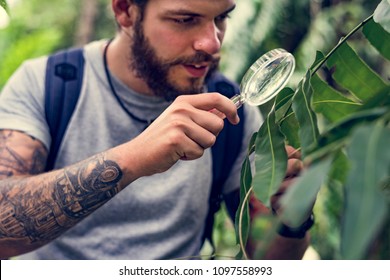 Biologist In A Forest