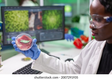 Biologist Researcher Looking At Plant Based Beef Substitute For Vegetarien People Typing Biotech Medical Expertise On Computer. Scientist Analyzing Genetic Mutation On Food Working In Microbiology Lab