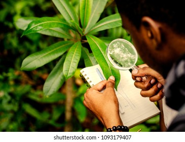 Biologist Researching In The Forest