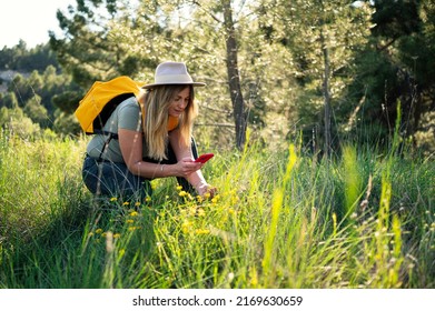 Biologist woman taking photos with her smartphone in the field.