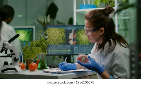 Biologist woman writing medical expertise while holding petri dish with vegan beef meat in hands working in microbiology laboratory. Chemist woman researching food modified genetically