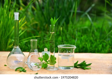 Biology glassware, Biotechnology flask and glass, Natural organic and scientific extraction, Alternative green herb medicine, skin care, beauty products, drug research. Chemical compounds