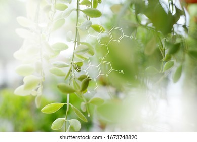 Biology laboratory nature and science, Plants with biochemistry structure on green background.