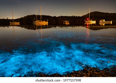 Bioluminescence blue glow from marine algae is activated when there is movement in the water at Woy Woy Waterfront on the Central Coast of NSW, Australia.