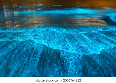 Bioluminescence at night, Jervis Bay, Australia - Shutterstock ID 2006764232
