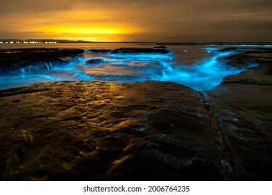 Bioluminescence at night, Jervis Bay, Australia - Shutterstock ID 2006764235