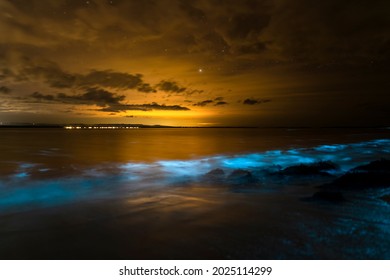 Bioluminescence at night, Jervis Bay, Australia