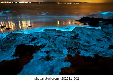 Bioluminescence at night, Jervis Bay, Australia - Shutterstock ID 2025114302