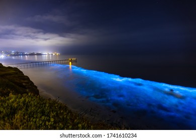 Bioluminescence At San Diego Coast