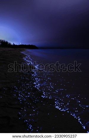 The bioluminescent beaches in Islands of Maldives is a  tropical paradise, famous for its glow-in-the-dark waves. A biological phenomenon causes the water to emit a bright blue light