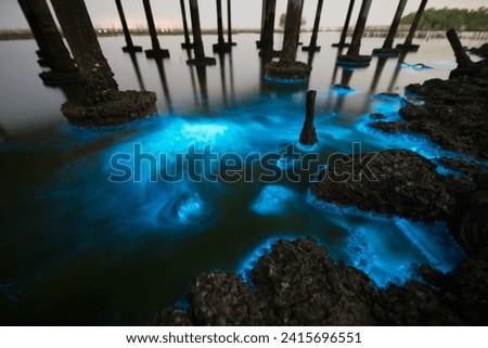 Bioluminescent Beaches (Various locations): Some beaches around the world, like Mosquito Bay in Vieques, Puerto Rico, and Vaadhoo Island in the Maldives, experience bioluminescence.