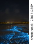 Bioluminescent glowing beach. Bio luminescence. Illumination of plankton at Maldives. Many bright particles at the beach. 
