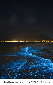 Bioluminescent glowing beach. Bio luminescence. Illumination of plankton at Maldives. Many bright particles at the beach. 