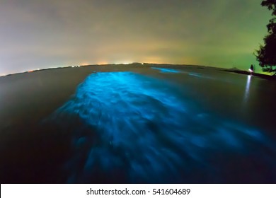 Bioluminescent plankton. Illumination of glowing wave with long exposure, Krabi, Thailand.