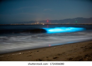 Bioluminescent Waves Crash On The Beach In Los Angeles