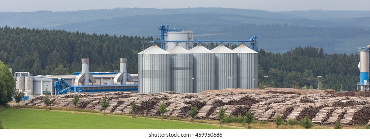 Biomass Cogeneration Plant