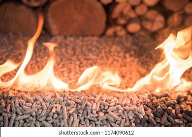 Biomass In Fire - Three Kind Of Pelets Burn