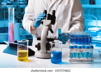 Biomedical Engineer At Work With Samples In Chemistry Laboratory. Chemical Researcher Working In Research Lab With Material And Microscope