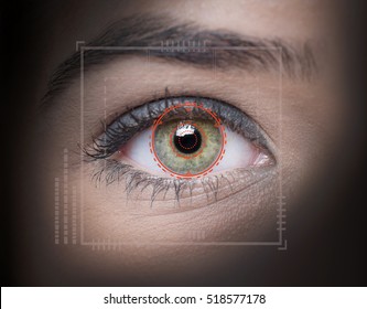 Biometric Security Retina Scanner