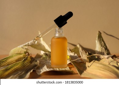 Biophilic mockup of cosmetic oil bottle with dropper removed on textured dry leaves. Horizontal monochrome brown banner, poster. Natural organic lotion, essence, serum, emulsion. Body care concept
