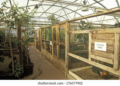 Biosphere 2 Cages At Oracle In Tucson, AZ