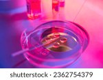 Biotechnological embryo biopsy procedure in a modern laboratory